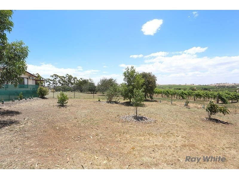 57 West Terrace, Leasingham SA 5452