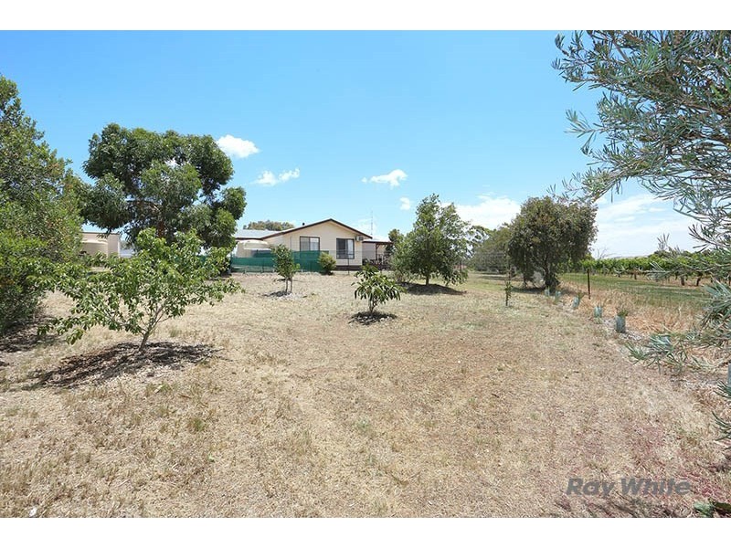 57 West Terrace, Leasingham SA 5452