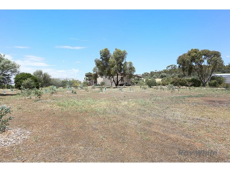 57 West Terrace, Leasingham SA 5452