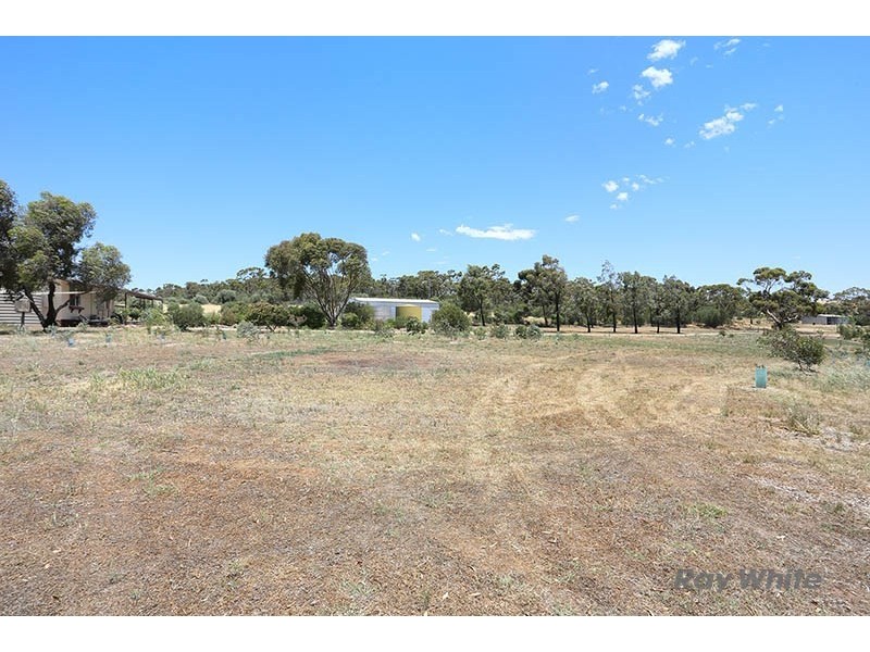 57 West Terrace, Leasingham SA 5452