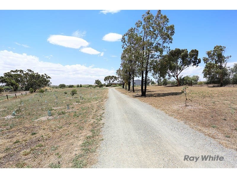 57 West Terrace, Leasingham SA 5452