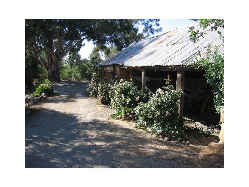 Lot 31 Burra Street, Mintaro SA 5415