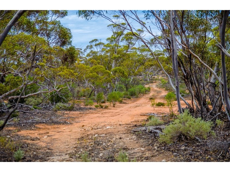 Sections 41, 42 and 62 OTC Road, Ceduna SA 5690