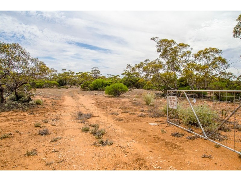 Sections 41, 42 and 62 OTC Road, Ceduna SA 5690
