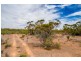 Sections 41, 42 and 62 OTC Road, Ceduna SA 5690