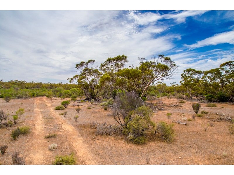 Sections 41, 42 and 62 OTC Road, Ceduna SA 5690