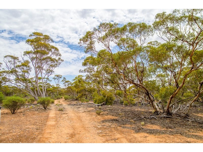 Sections 41, 42 and 62 OTC Road, Ceduna SA 5690