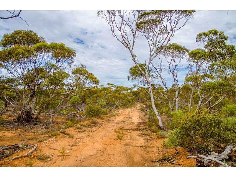 Sections 41, 42 and 62 OTC Road, Ceduna SA 5690