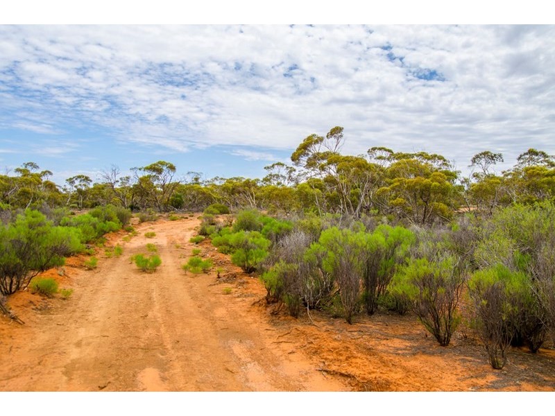 Sections 41, 42 and 62 OTC Road, Ceduna SA 5690