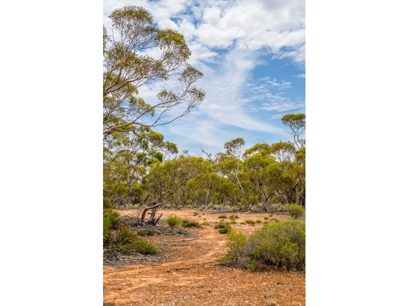 Sections 41, 42 and 62 OTC Road, Ceduna SA 5690