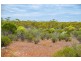 Sections 41, 42 and 62 OTC Road, Ceduna SA 5690