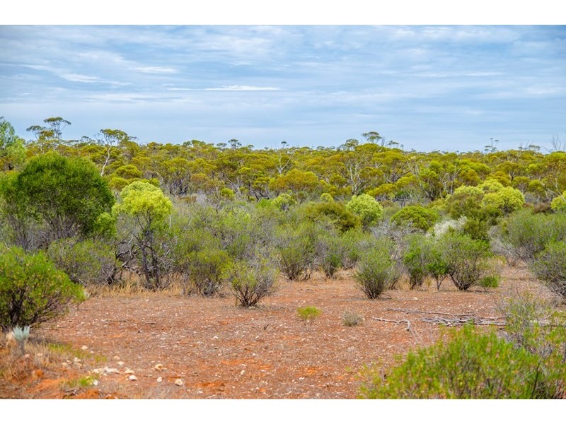 Sections 41, 42 and 62 OTC Road, Ceduna SA 5690