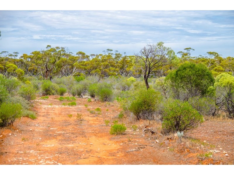 Sections 41, 42 and 62 OTC Road, Ceduna SA 5690