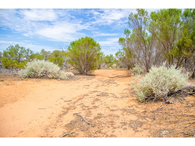 Sections 41, 42 and 62 OTC Road, Ceduna SA 5690