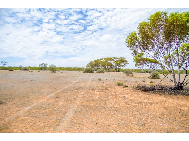 Sections 41, 42 and 62 OTC Road, Ceduna SA 5690