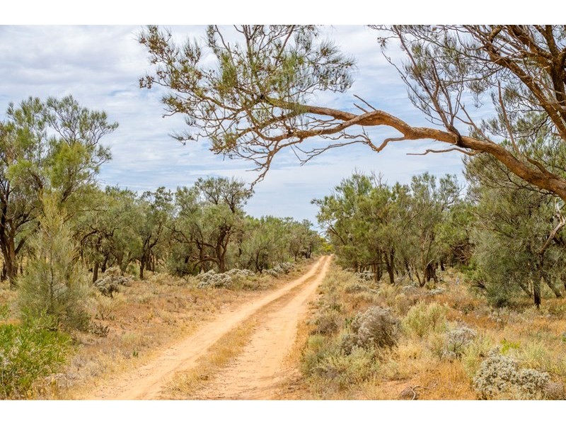 Sections 41, 42 and 62 OTC Road, Ceduna SA 5690