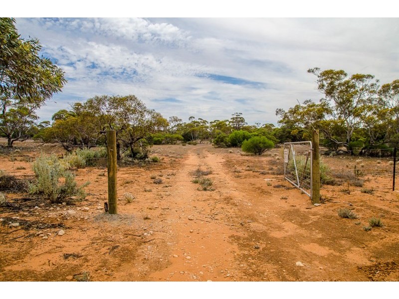 Sections 41, 42 and 62 OTC Road, Ceduna SA 5690