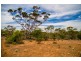Sections 41, 42 and 62 OTC Road, Ceduna SA 5690