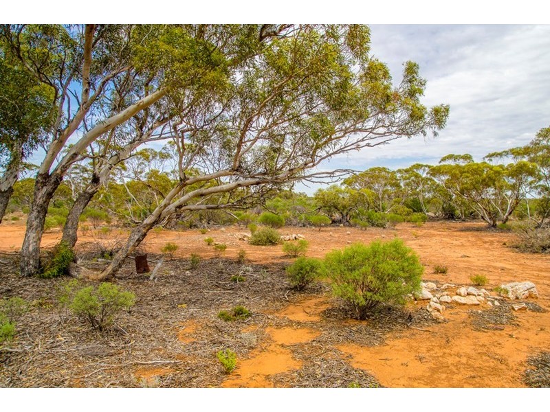 Sections 41, 42 and 62 OTC Road, Ceduna SA 5690