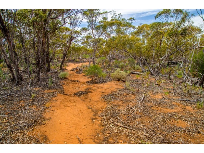 Sections 41, 42 and 62 OTC Road, Ceduna SA 5690