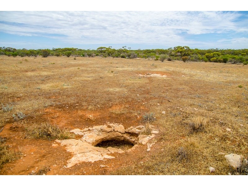 Sections 41, 42 and 62 OTC Road, Ceduna SA 5690