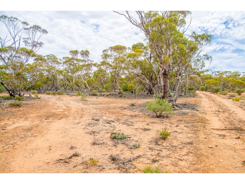 Sections 41, 42 and 62 OTC Road, Ceduna SA 5690