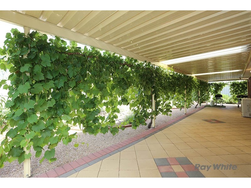 16 Jonathon Street, Clare SA 5453