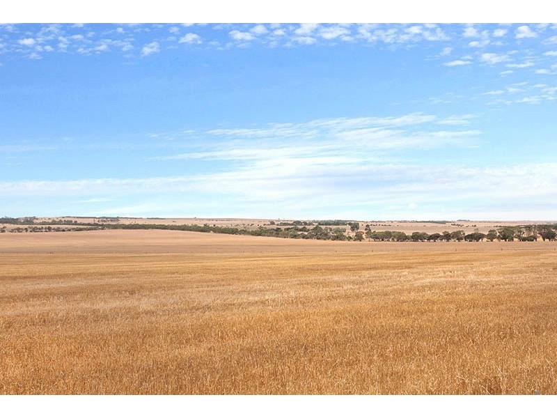 32 Shannon Terrace, Maitland SA 5573