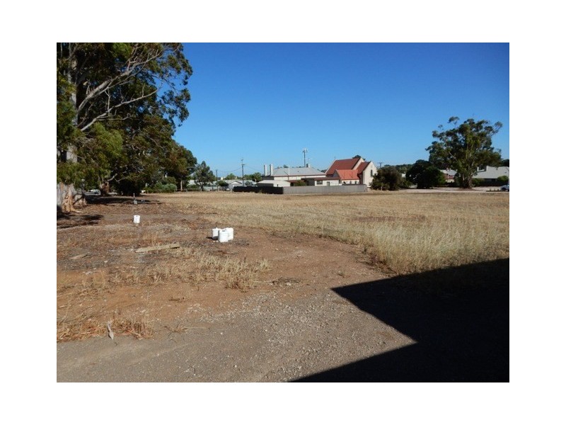 Lots 4,5 and 7 Alice Street, Maitland SA 5573