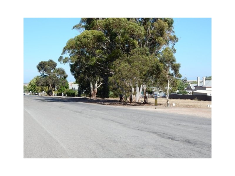Lots 4,5 and 7 Alice Street, Maitland SA 5573