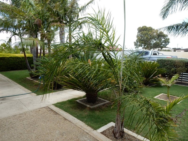 33 John Street, Ardrossan SA 5571