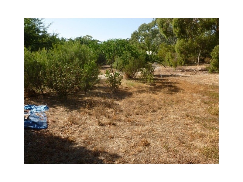 Lot 63 King Street, Mintaro SA 5415