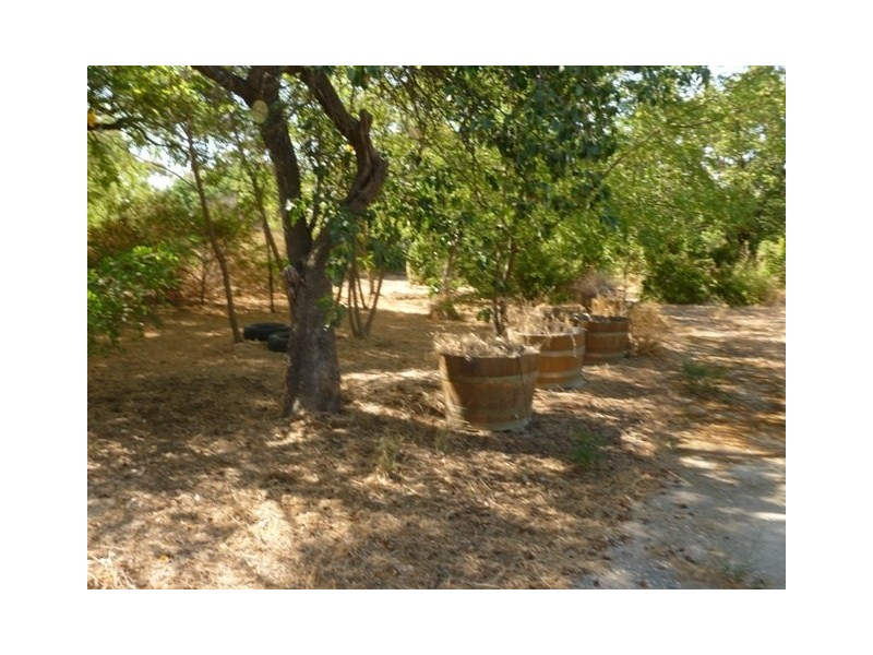 Lot 63 King Street, Mintaro SA 5415