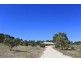 24 Morrison Road, Penwortham SA 5453