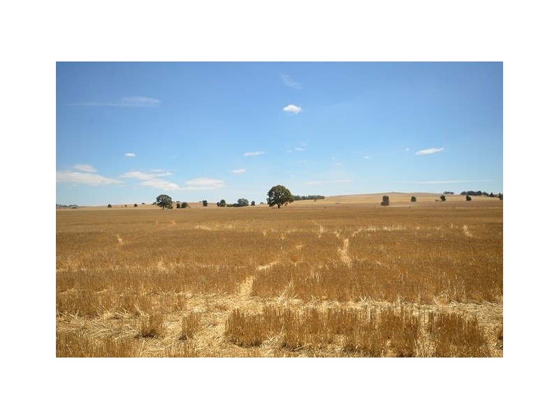 “Bills” Farrell Flat Road, Farrell Flat SA 5416