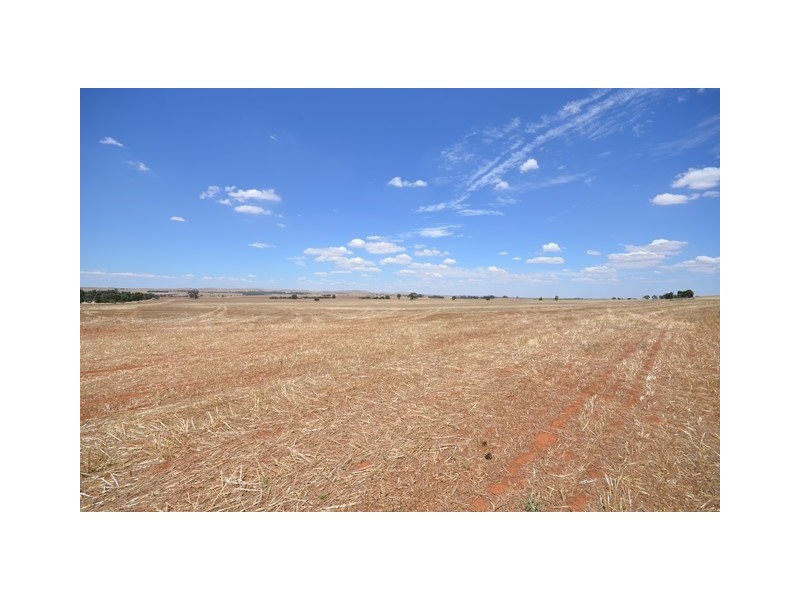 “Bills” Farrell Flat Road, Farrell Flat SA 5416