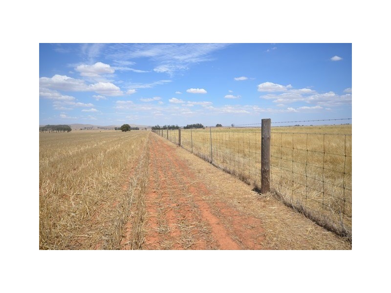 “Bills” Farrell Flat Road, Farrell Flat SA 5416
