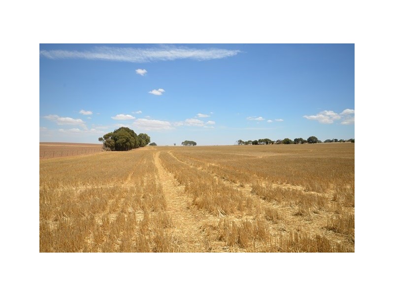 “Bills” Farrell Flat Road, Farrell Flat SA 5416