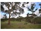 Lot 22 Spring Gully Road, Clare SA 5453
