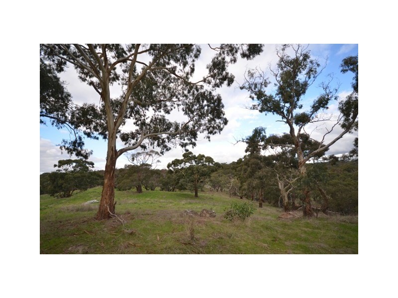 Lot 22 Spring Gully Road, Clare SA 5453