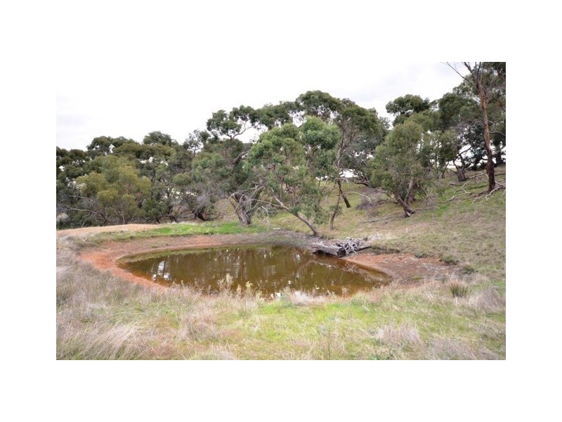 Lot 22 Spring Gully Road, Clare SA 5453