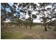 Lot 22 Spring Gully Road, Clare SA 5453