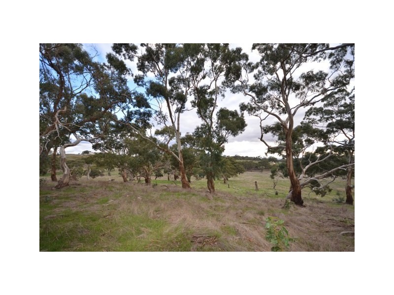 Lot 22 Spring Gully Road, Clare SA 5453
