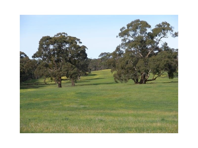 Lot 22 Spring Gully Road, Clare SA 5453