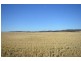 2 Lots Brady Creek and Kotz Road, Robertstown SA 5381