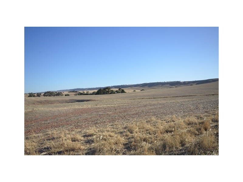 2 Lots Brady Creek and Kotz Road, Robertstown SA 5381