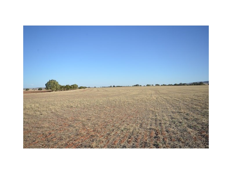 2 Lots Brady Creek and Kotz Road, Robertstown SA 5381
