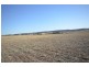 2 Lots Brady Creek and Kotz Road, Robertstown SA 5381