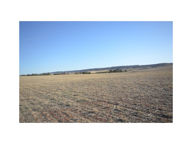 2 Lots Brady Creek and Kotz Road, Robertstown SA 5381
