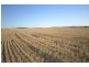 2 Lots Brady Creek and Kotz Road, Robertstown SA 5381